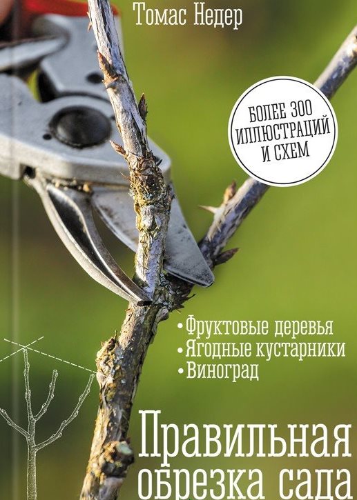 Правильная обрезка сада. Фруктовые деревья, ягодные кустарники, виноград